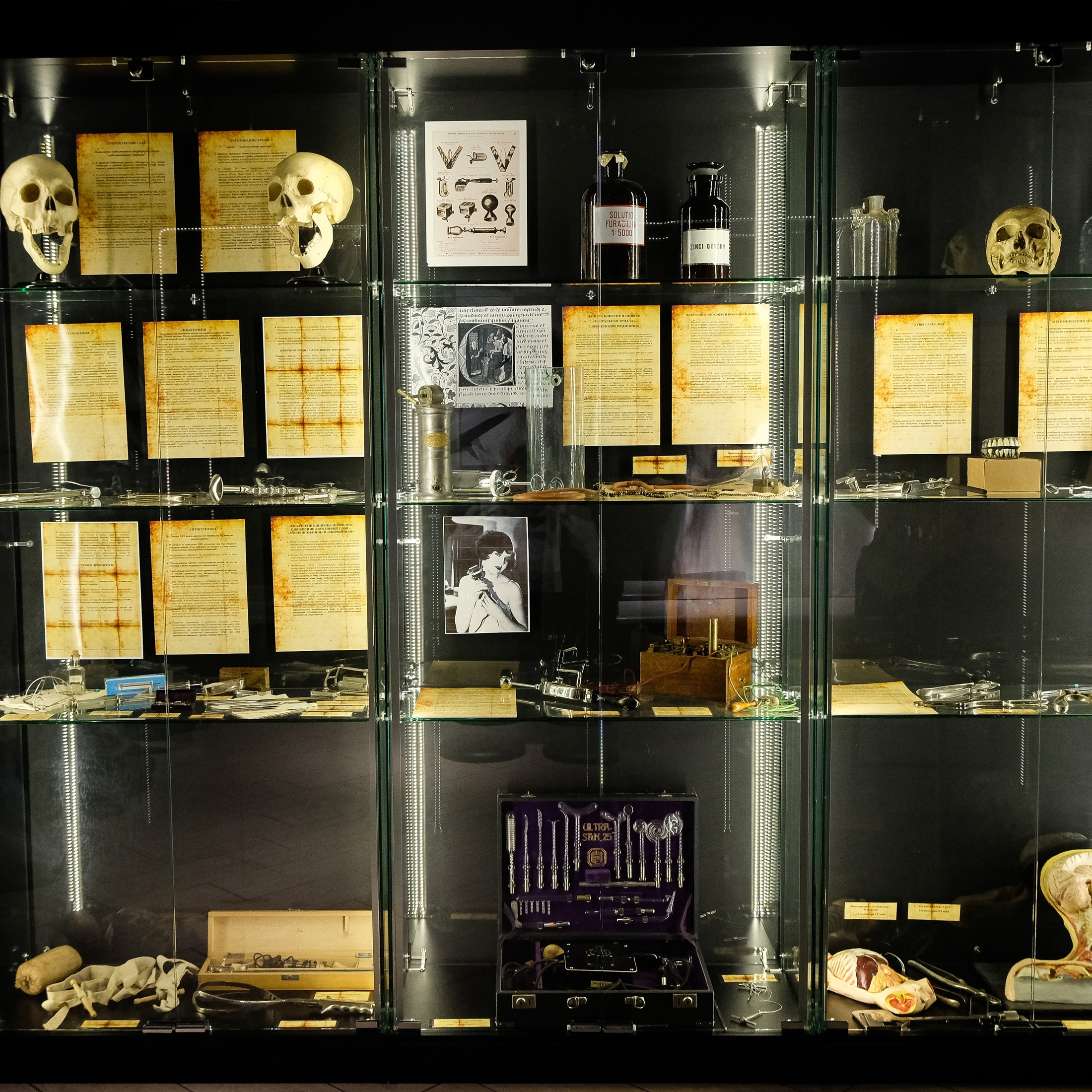 Музей Аномалий тела для компании