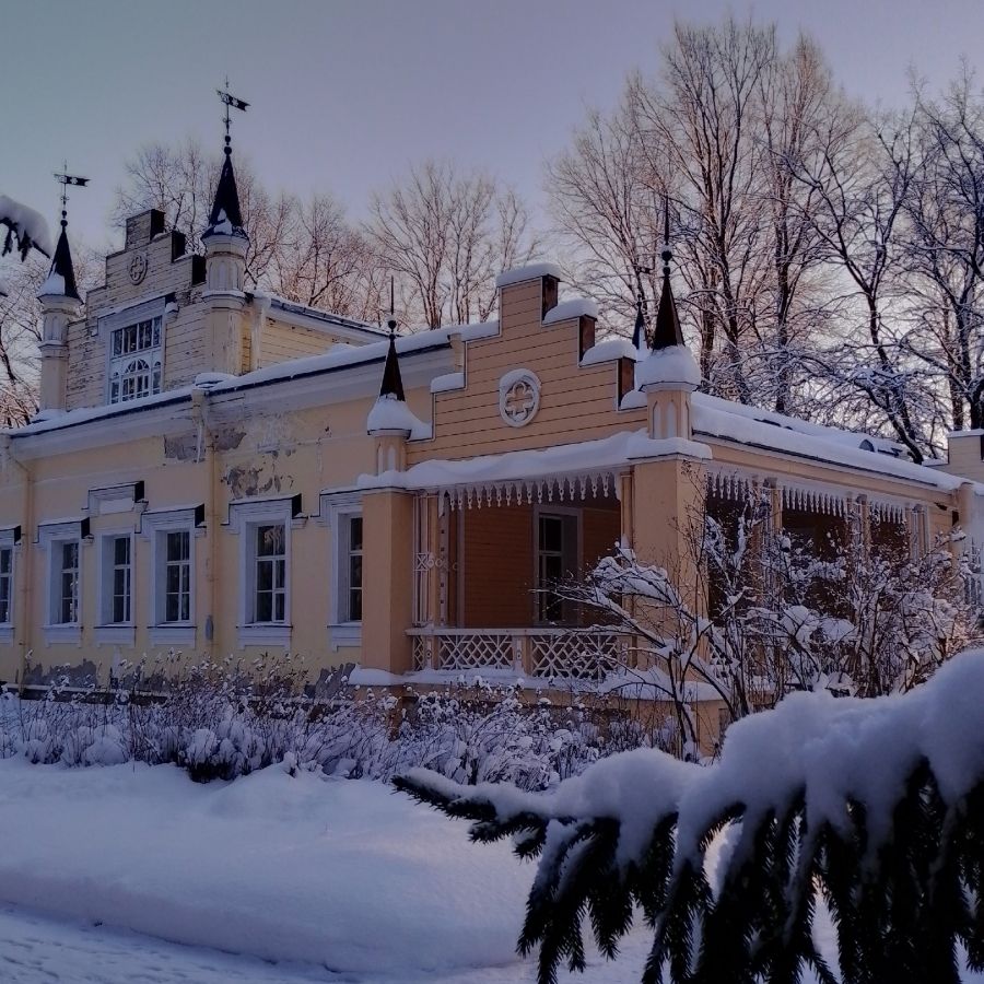 Экскурсия в деревню Извара с посещением усадьбы Рериха и культурного центра для двоих