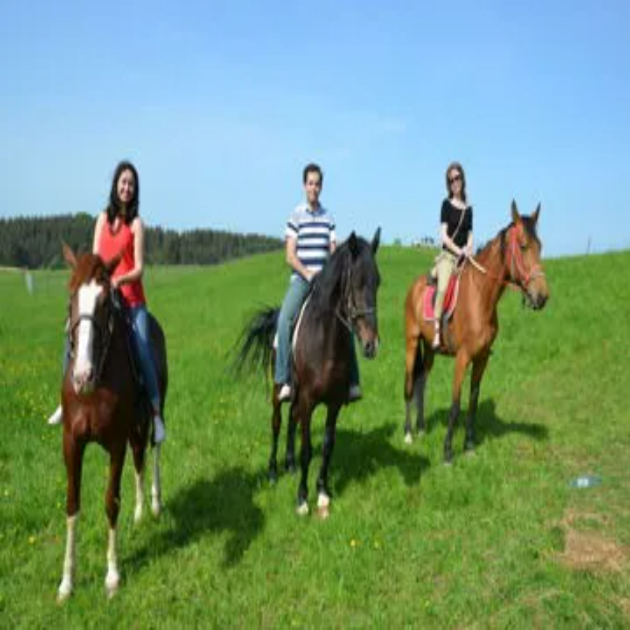 Конная прогулка для семьи (1 час)