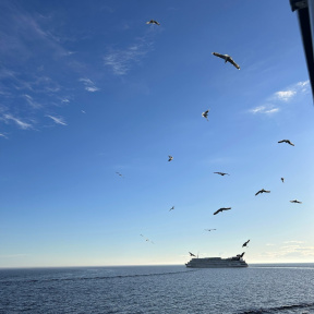 Экскурсия "Валаам: Путешествие по священным местам" для компании