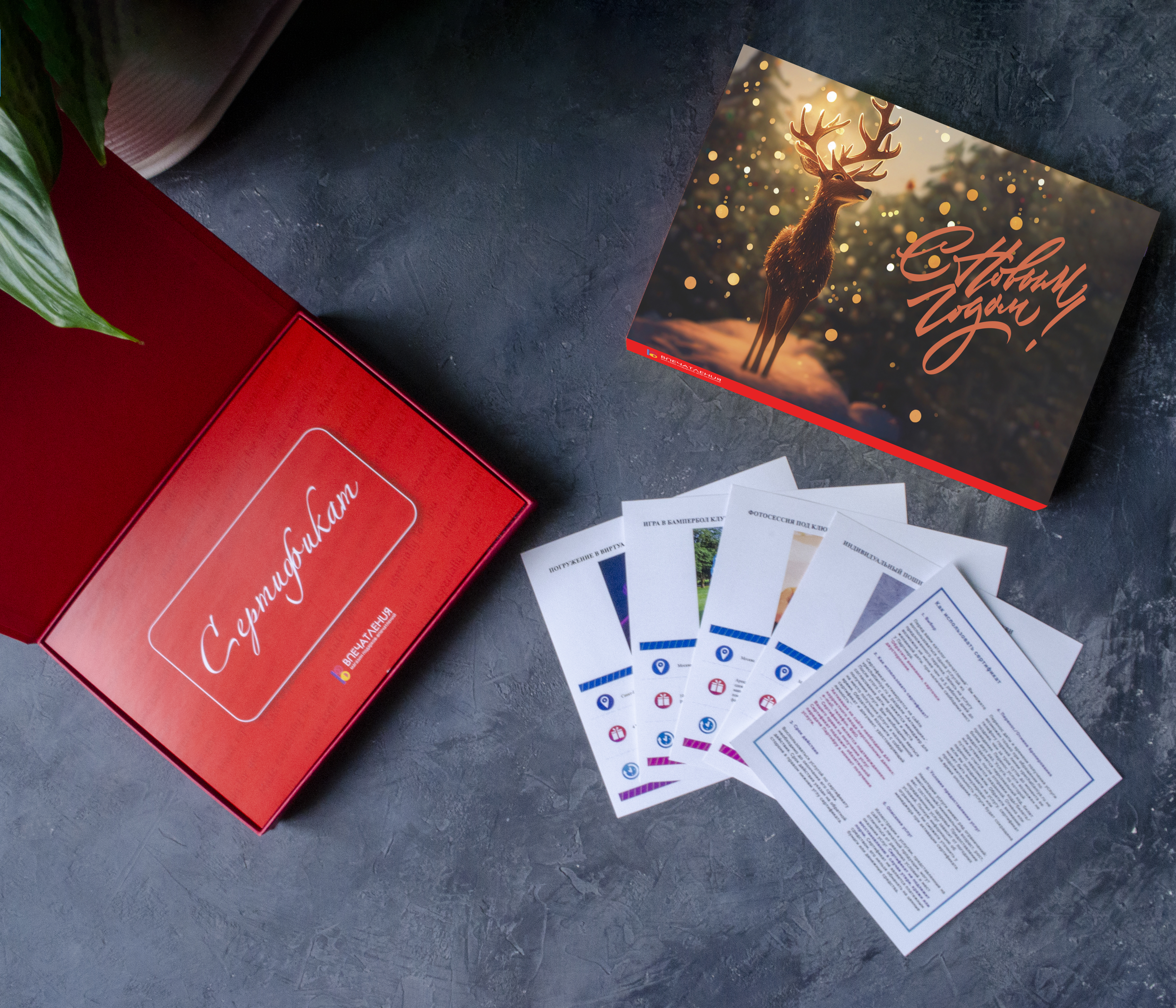 Подарочный сертификат Олень желаний