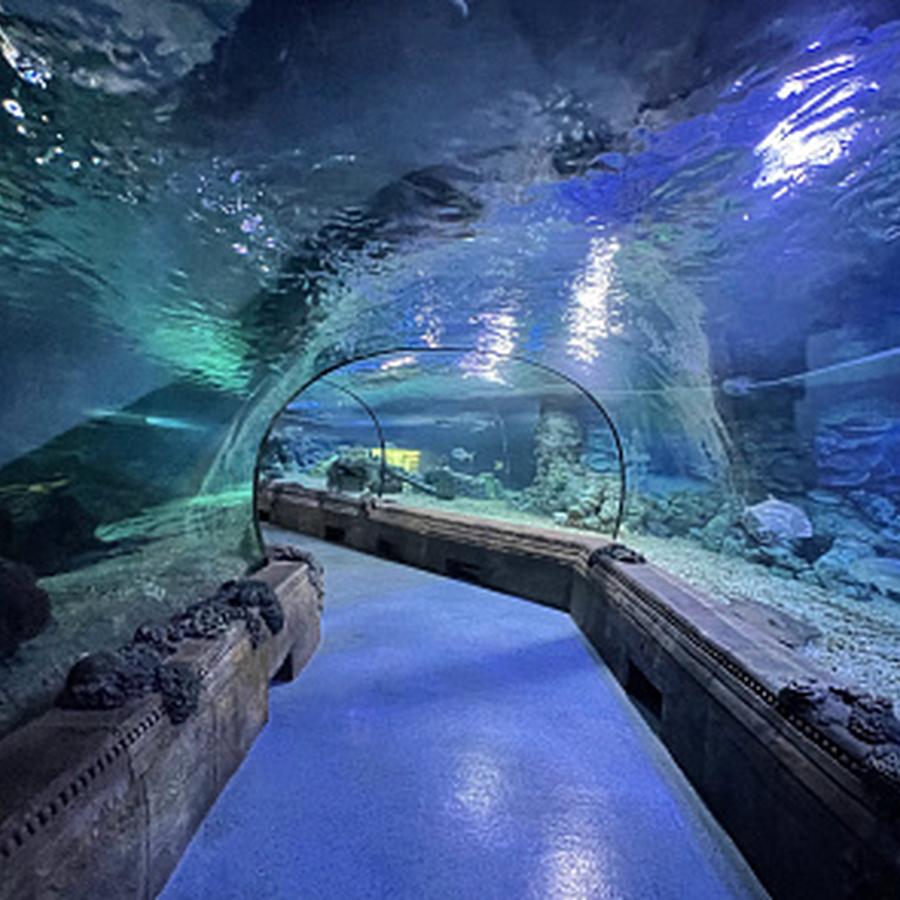 Океанариум для двоих