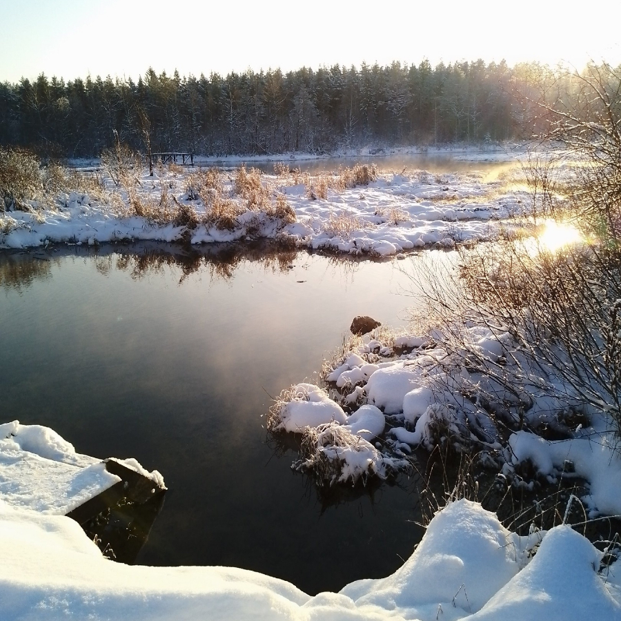 Экскурсия в деревню Извара с посещением усадьбы Рериха и культурного центра