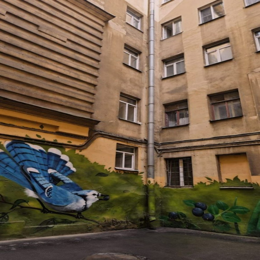 Тихий Центр, Пешеходная экскурсия+крыша,
