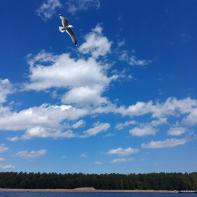 Экскурсия на остров Коневец