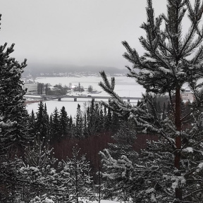 Экскурсия Сортавала: Архитектурные Тайны в Сердце Карелии для семьи