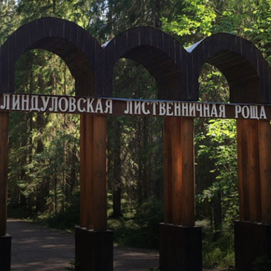Линдуловская роща – корабельный лес Петра Великого