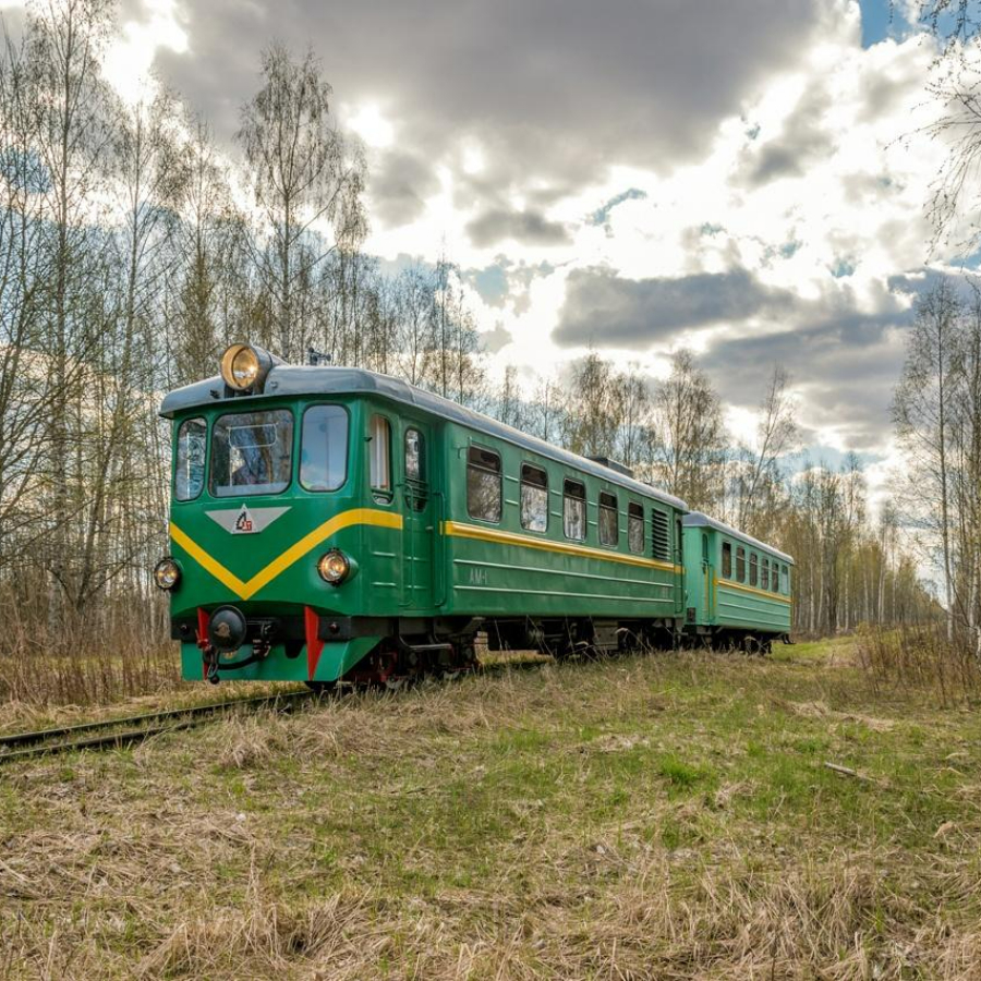 Экскурсия в музей Тёсовской узкоколейной железной дороги для компании