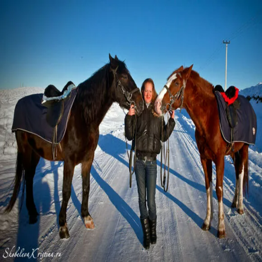 Конная прогулка (1 час)