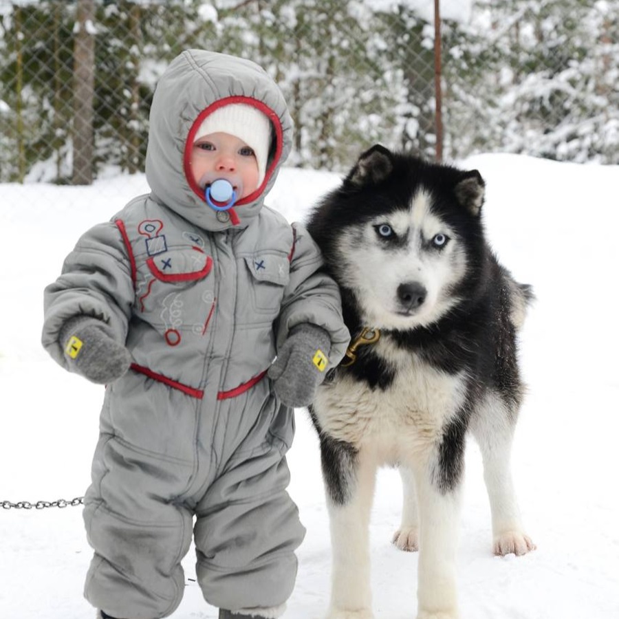 Посещение питомника "Снежные крылья"