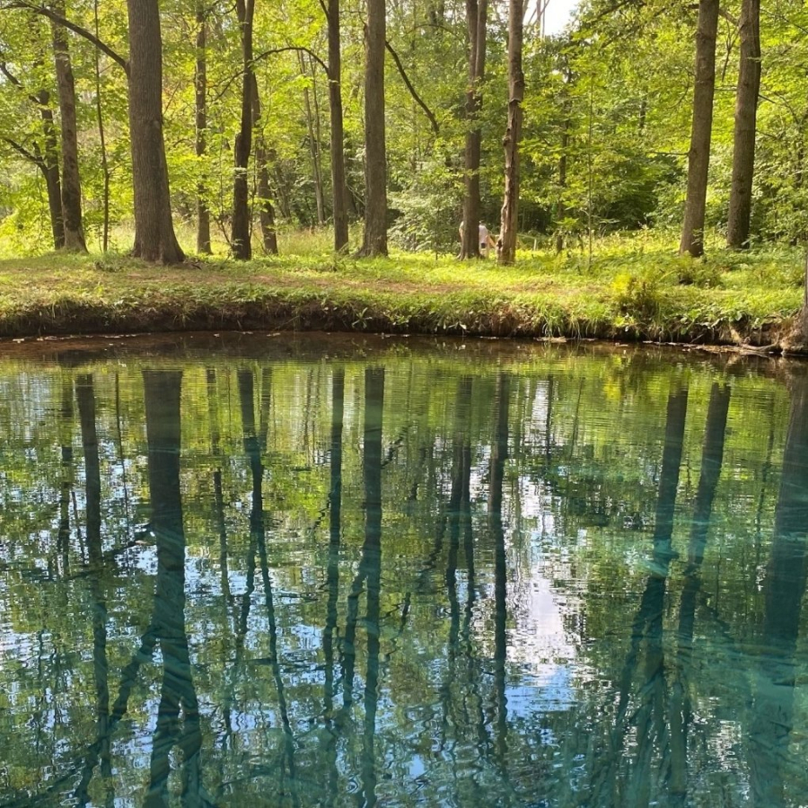 Экскурсия "Сольцы - древний город Новгородской земли" для компании