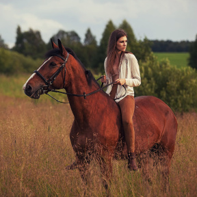 Индивидуальная фотосессия с лошадьми