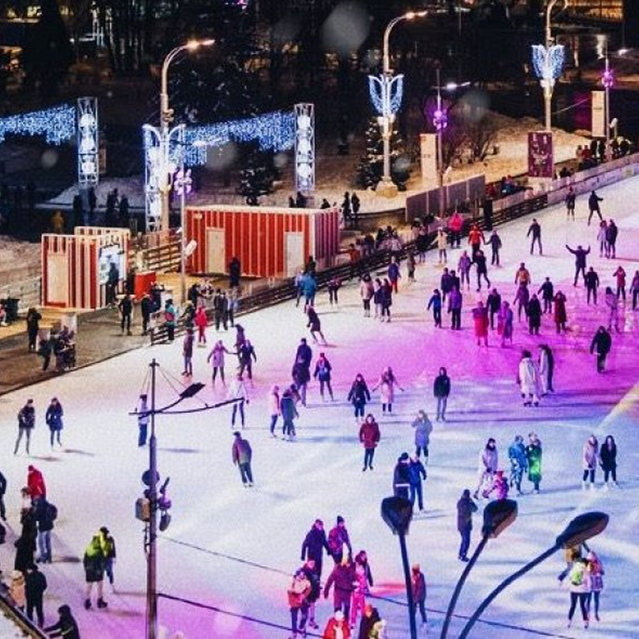 Билет на каток для семьи