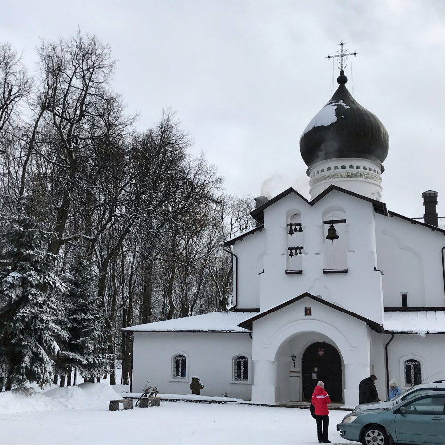 Экскурсия "Гдов и Чудское озеро"