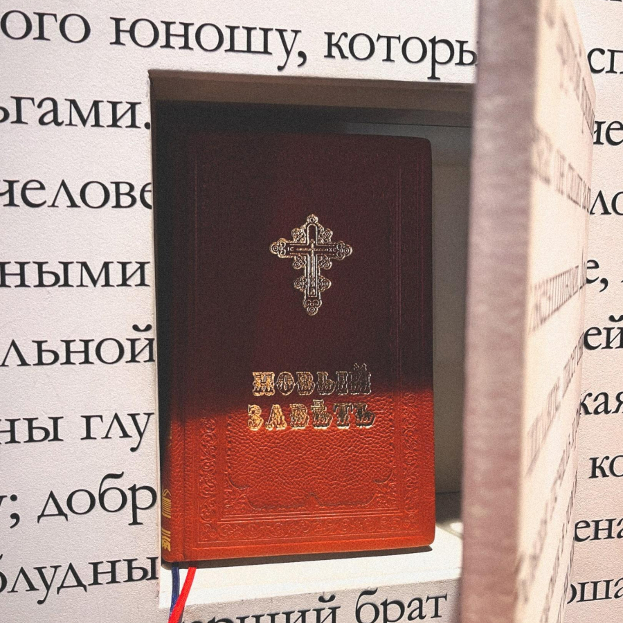 Экскурсия "Пушкинские места: Суйда-Кобрино-Выра"