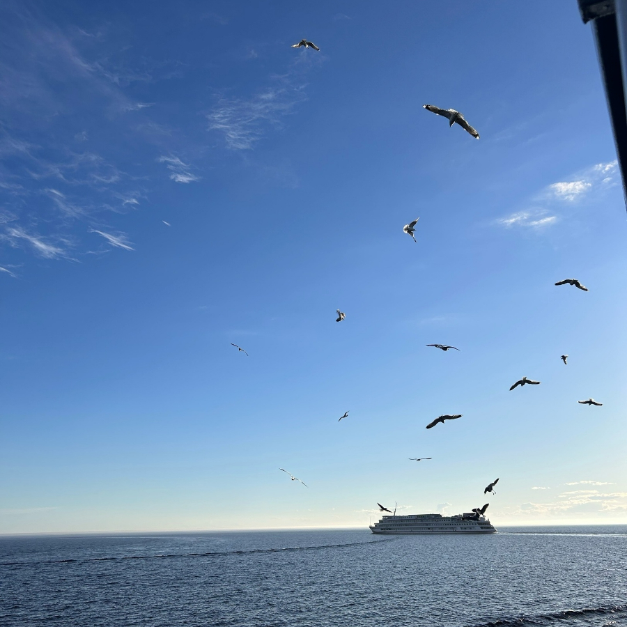 Экскурсия "Валаам: Путешествие по священным местам" для компании