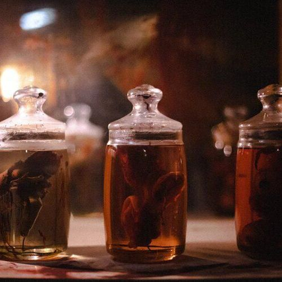 Квест-перформанс Зов Кэти