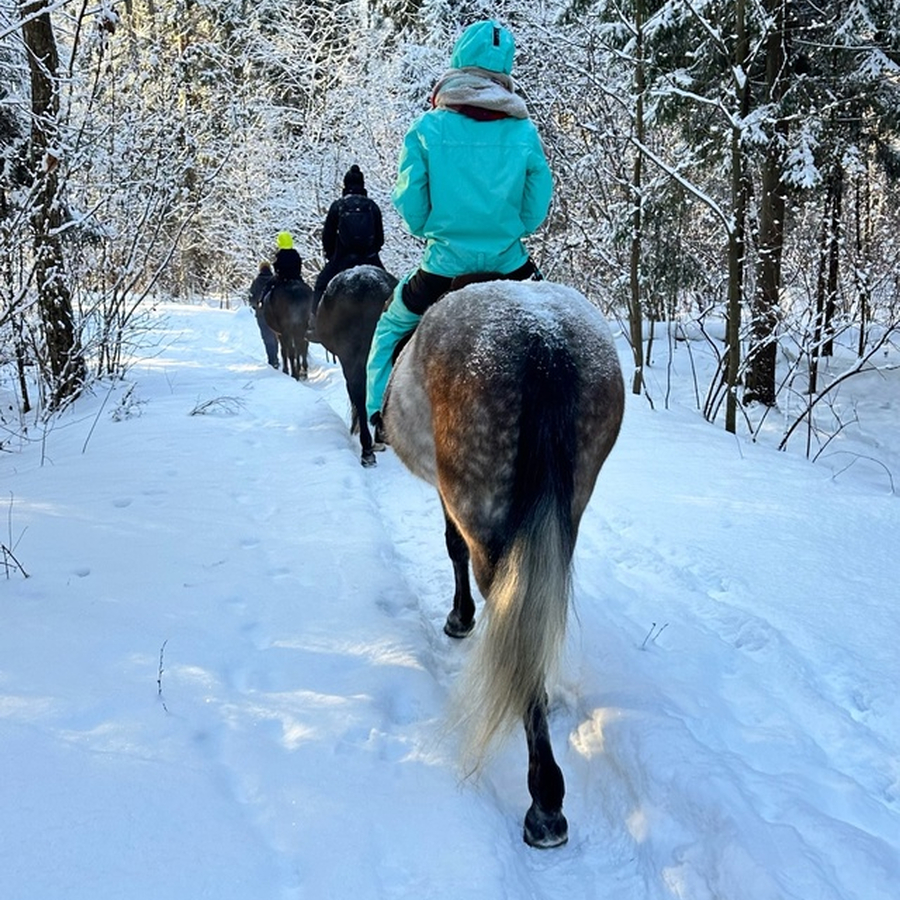 Индивидуальная конная прогулка в лес для двоих (1 час)
