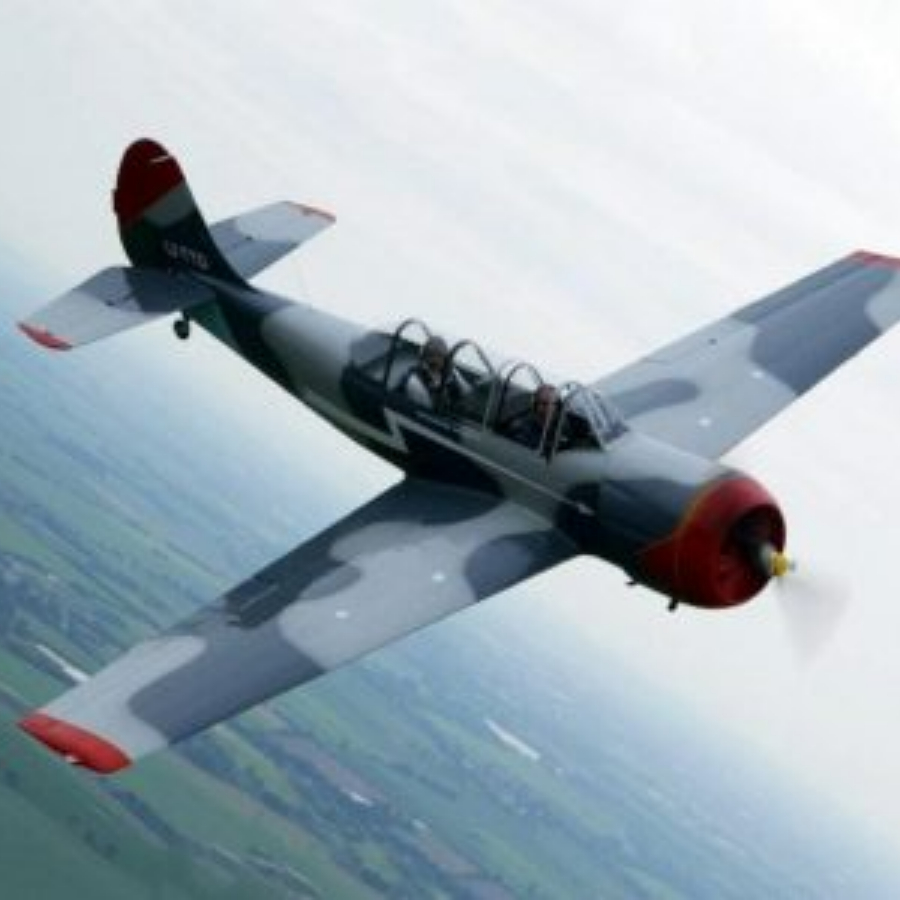 Экстремальный полет на самолете ЯК-52 30 минут