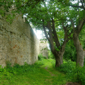 Экскурсия "В Порхов за Аленьким цветочком» с профессиональным фотографом" для семьи