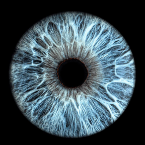 Фото одной радужки для семьи