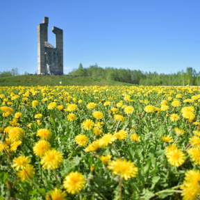 Экскурсия в Порхов с посещением дворянских усадеб для компании