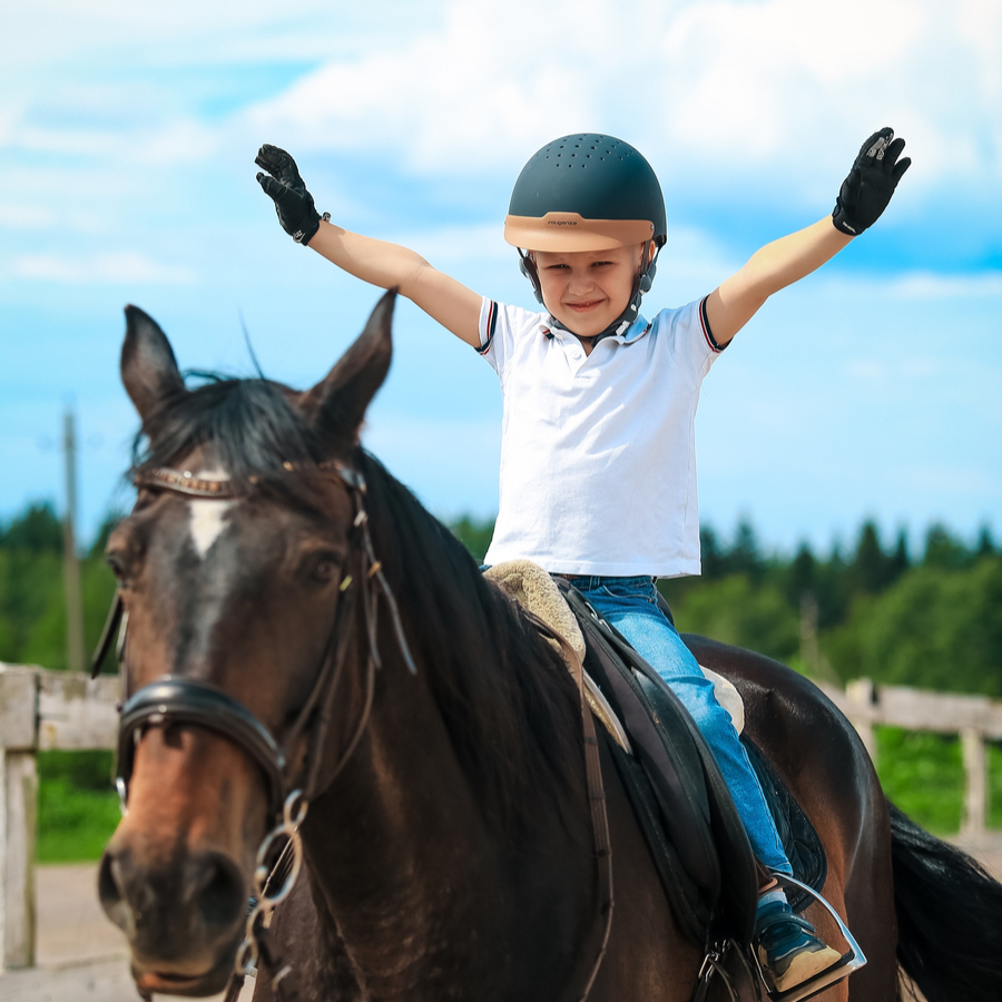 Шаговая конная прогулка (60 минут)