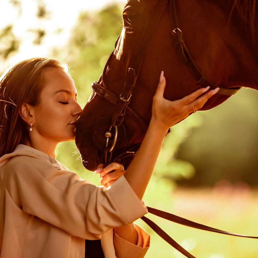 Индивидуальная шаговая конная прогулка для двоих (будни дни)