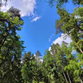 ЭКО-тур на Валдай