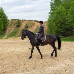 Индивидуальное обучение верховой езде для взрослых