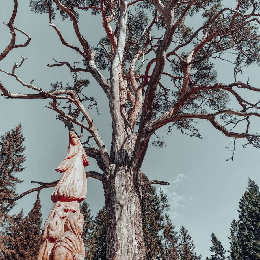 Экскурсия "Южная Карелия: Кузнечное, Куркиеки, Лахденпохья и Долина водопадов"