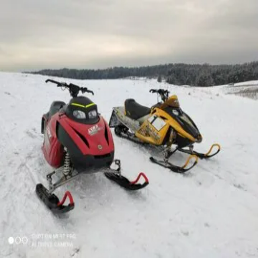 Катание на снегоходах 30 минут