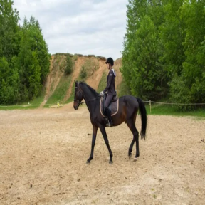 Индивидуальное обучение верховой езде для взрослых