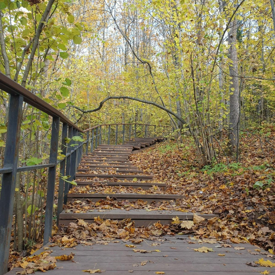 Экскурсия на Дудергофские высоты