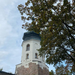 Экскурсия Зеленогорск - Приморск - Выборг и парк Монрепо для двоих