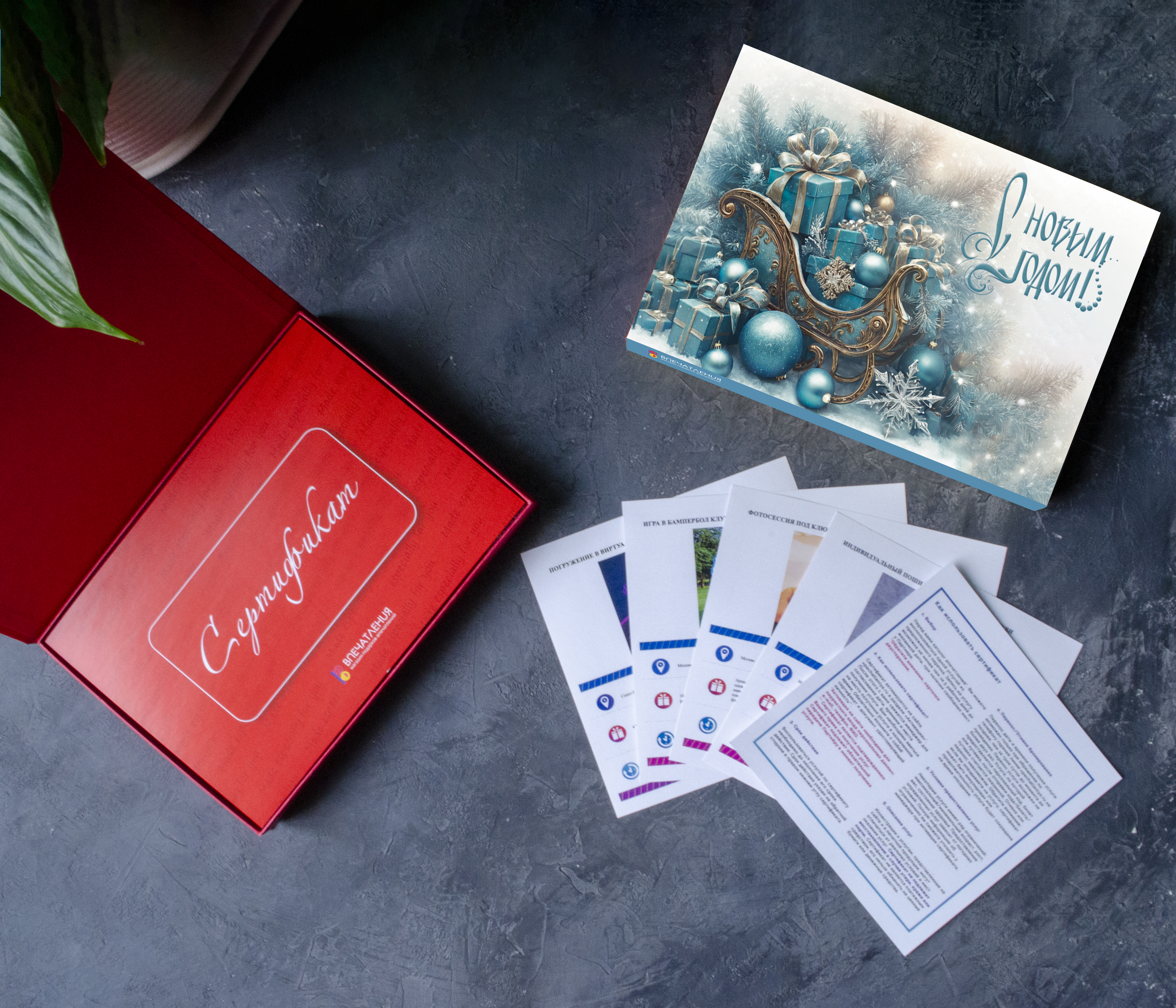 Подарочный сертификат Снежные сани