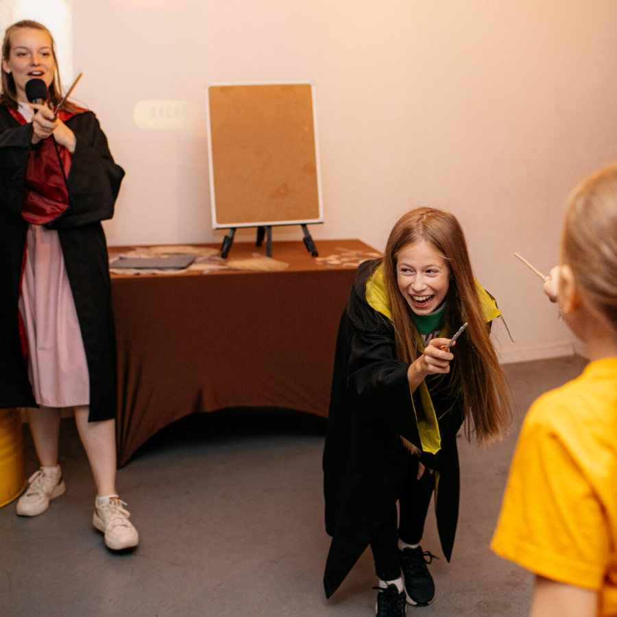 Шоу «Гарри Поттер»