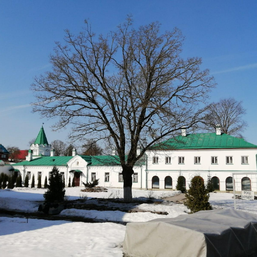 Экскурсия в Старую Ладогу для компании