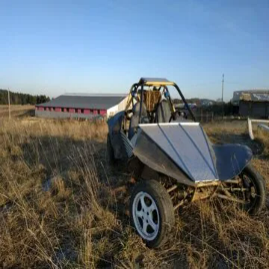 Катание на багги 1-2 человека (2 часа)