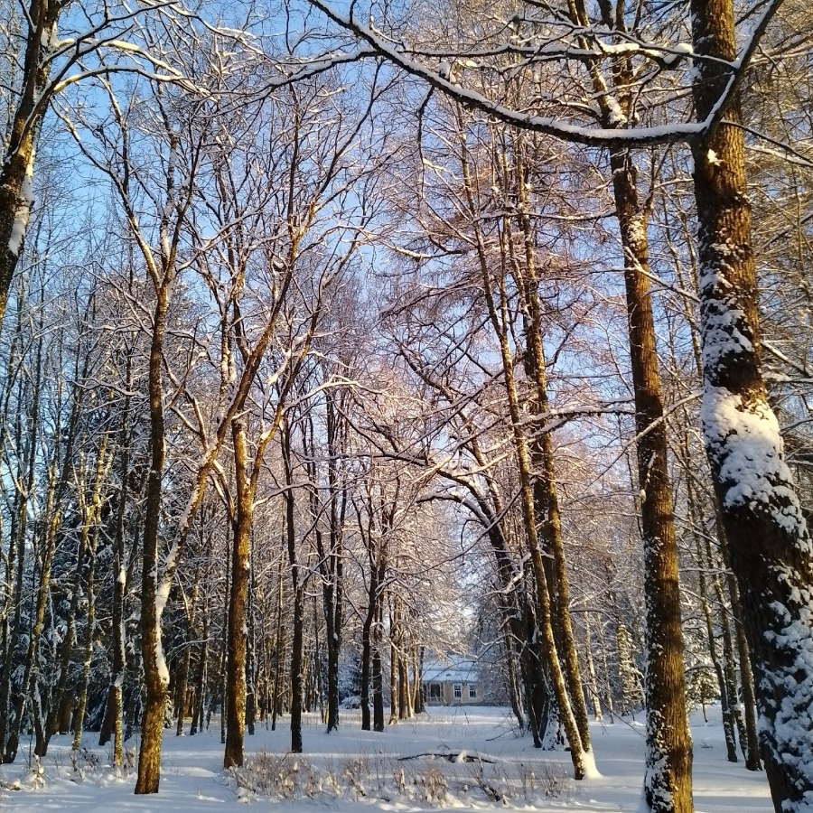 Экскурсия в деревню Извара с посещением усадьбы Рериха и культурного центра