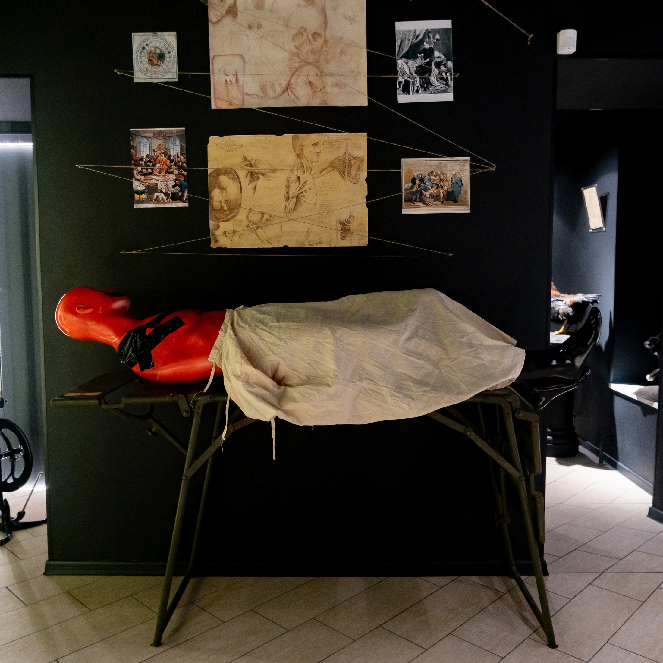 Музей Аномалий тела для компании