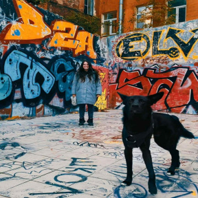 От андеграунда до небесной перспективы: прогулка по городу + безопасная крыша 