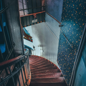 Экскурсия в Пулковскую обсерваторию для компании