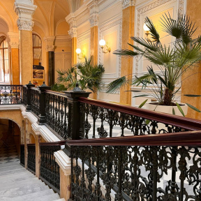 Экскурсия в Гатчину для двоих