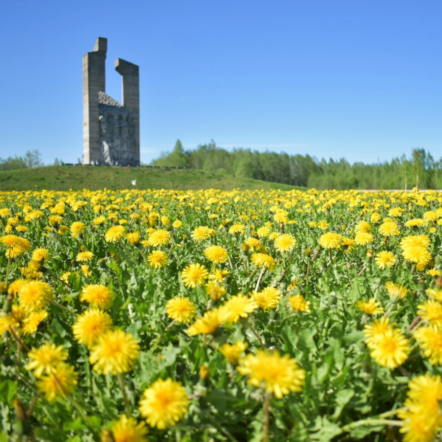 Экскурсия в Порхов с посещением дворянских усадеб для компании
