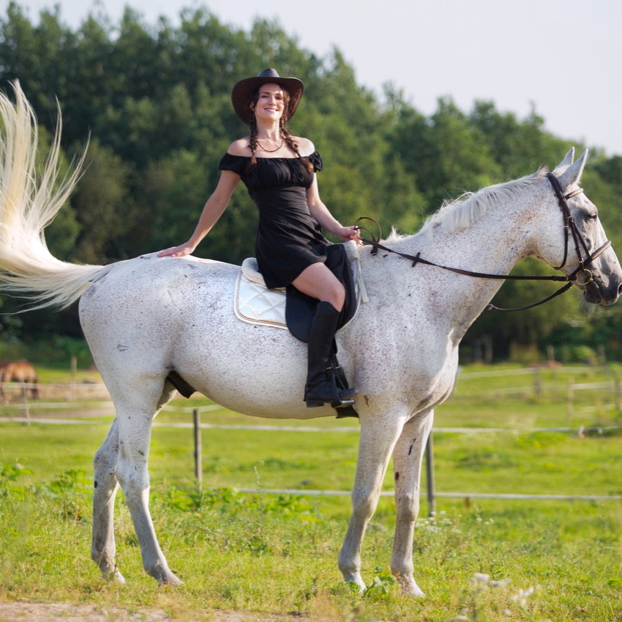 Шаговая конная прогулка (60 минут)