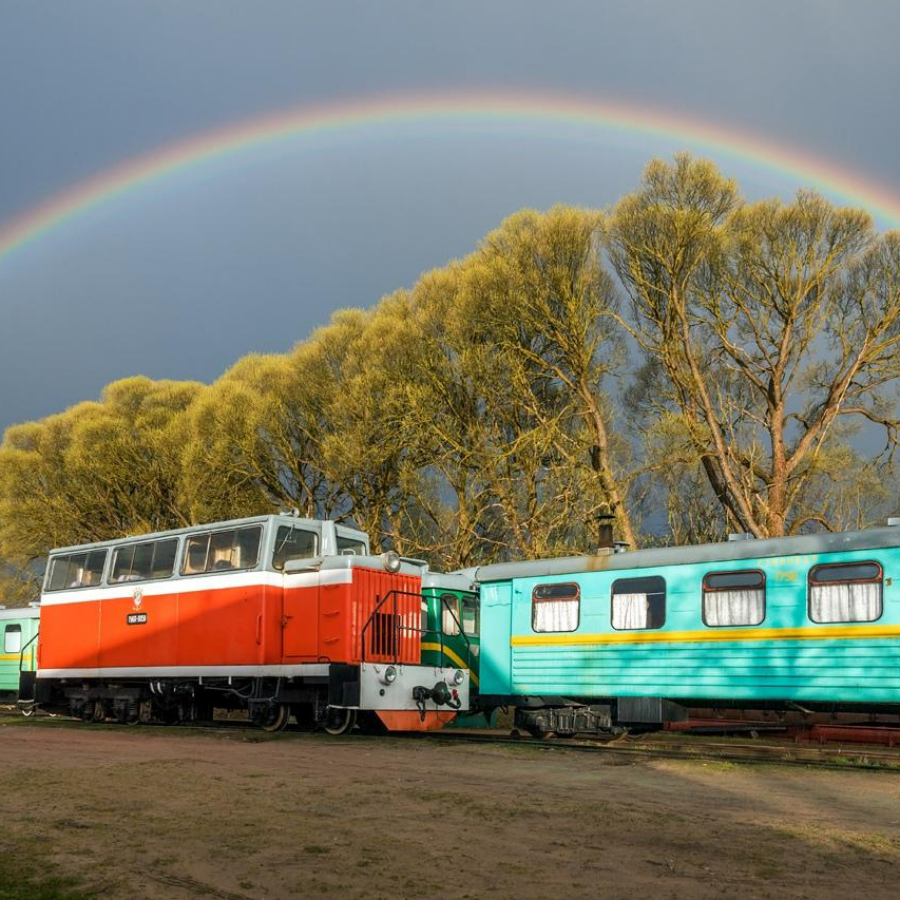 Экскурсия в музей Тёсовской узкоколейной железной дороги для двоих