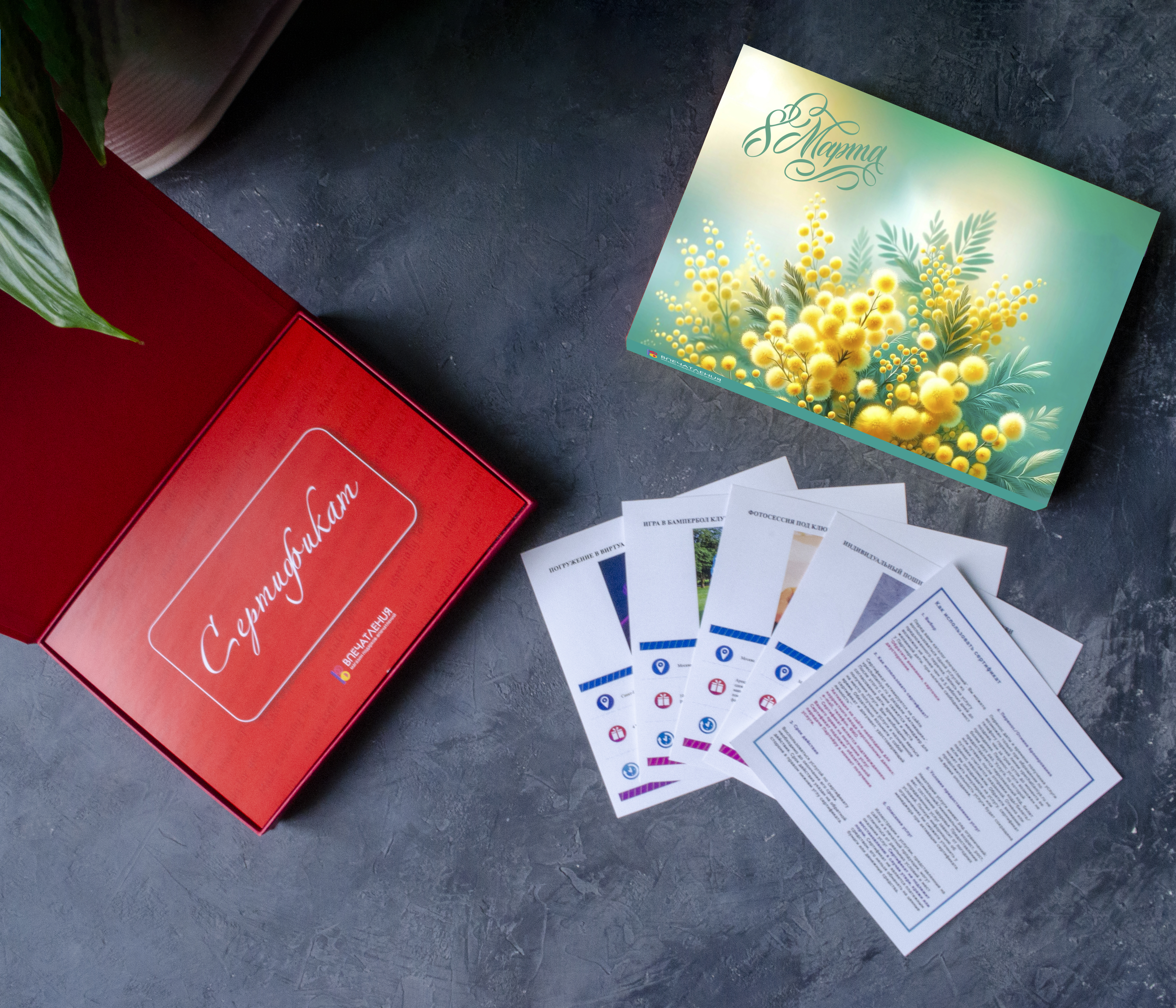 Подарочный сертификат Мимозная Нежность