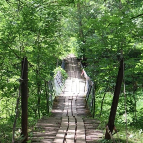 Экскурсия "Сольцы - древний город Новгородской земли"