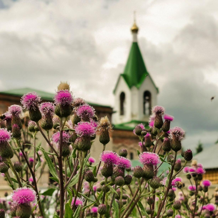 Экскурсия на ферму клариевого африканского сома с дегустацией для семьи